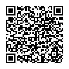 QR Code for A New International Economic Order