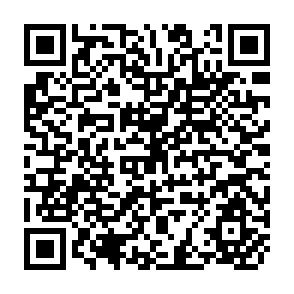 QR Code for Social Limits to Growth