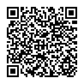 QR Code for Growth of Indian Economy in Socialism