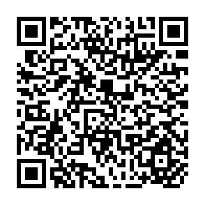 QR Code for Perennial Crop Supply Response: The Case of Tanzanian Sisal