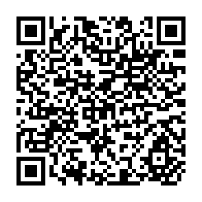 QR Code for Economic Consequences of the New Rice Technology