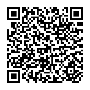 QR Code for Anatomy of a Peasant Economy