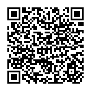 QR Code for Study on the use of fertilizers and manures in agricultural production
