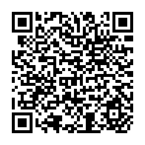 QR Code for Council on International Development Occasional Paper