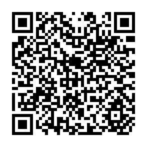 QR Code for Breaking Barriers - A South Asian Experience of Training for Participatory Development