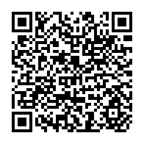 QR Code for Review and analysis of agrarian reform and rural development in the developing countries since the mis 1960s