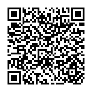 QR Code for The Informal Construction Sector in the Greater Manila Area