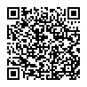 QR Code for The Development of the Indian Economy