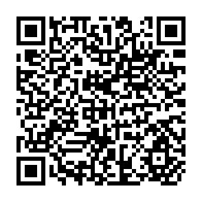 QR Code for Income Levels and the Structure of Trade
