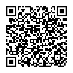 QR Code for The Income Level of Exports and Tariff Discrimination
