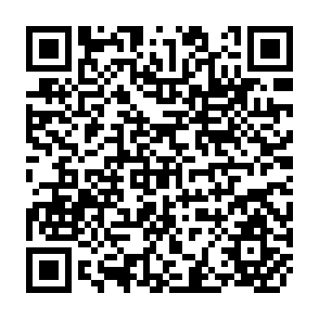QR Code for Stagflation as a Consequence of an Expansionary Monetary or Fiscal Policy under Flexible Exchange Rates