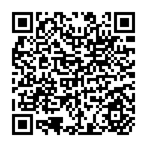 QR Code for Import Penetration and Import Price Elasticities with Special reference to Dynamic LDC Export Commodities