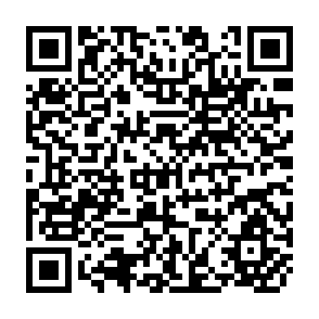 QR Code for Effects of Variable Import Levies and Options for Retaliation