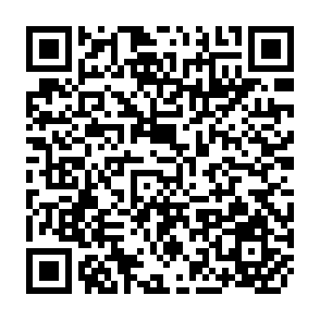 QR Code for The Normal State of the Market in a Shortage Economy : A Queue Model