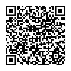 QR Code for Appraising Capital Goods Imported to Developing Countries