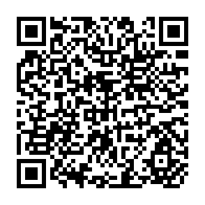 QR Code for Supervision, Loss of Control, and the Optimum size of the Firm