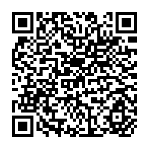 QR Code for On the accuracy of partner country trade statistics