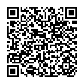 QR Code for Monopoly power, barries to competition and the pattern of price differentials in international trade