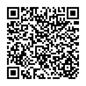 QR Code for Local Institutions and Egyptian Rural Development