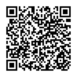 QR Code for Sarec report R2:1979