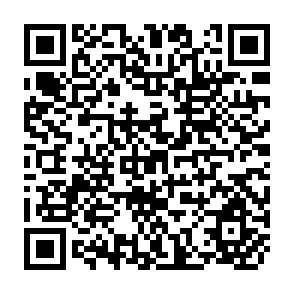 QR Code for Past, Present and Future Swedish Support to International Agricultural Research