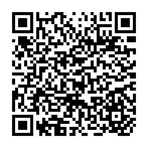 QR Code for Customs of respect: The traditional basis of Fijian communal politics