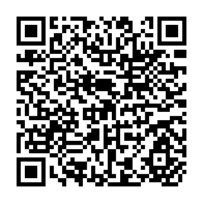 QR Code for Proceedings: Second Review Meeting I.N.P.U.T.S. Project