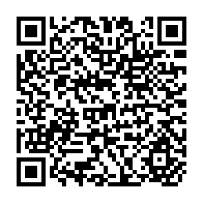 QR Code for Social Theory and Economic Change