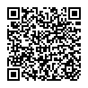 QR Code for Program of Studies in Non- Formal Education