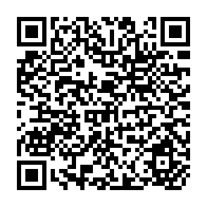 QR Code for Induced Innovation and Agricultural Development