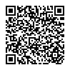 QR Code for Proceedings of the Panel Discussion on Statistics for Integrated Rural Development (7-8 September 1978)