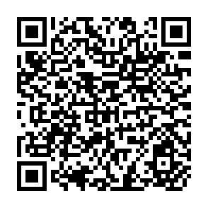 QR Code for Bibliography of Puplished research of the World Employment Programme