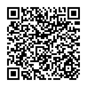QR Code for Rainfed Lowland Rice as a Research Priority- An Economist's view