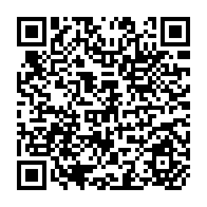 QR Code for The Experience and Potential for Group Farming in Asia