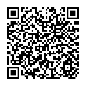 QR Code for The Experience and Potential for Group Farming in Asia