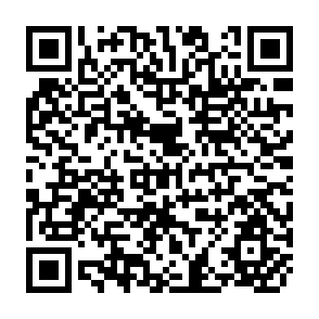 QR Code for Income Distribution and Levels of Living Java  1963-1970