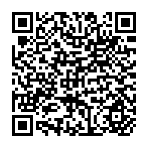 QR Code for Income Distribution and Levels of Living in JAVA 1963-1970