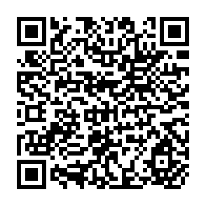 QR Code for Tropical Stored Products Information