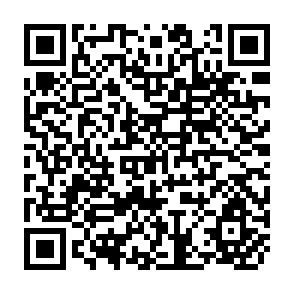 QR Code for The Economics Of Agricultural Policy