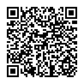 QR Code for The Technique of the Television Cameraman