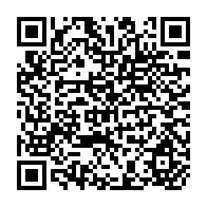 QR Code for Training & Development Handbook