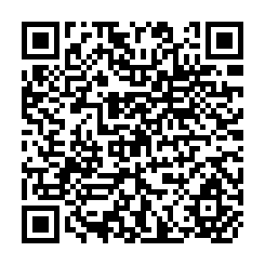 QR Code for Employment, Income Distribution and Development