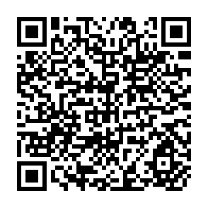 QR Code for Forestry in National Development