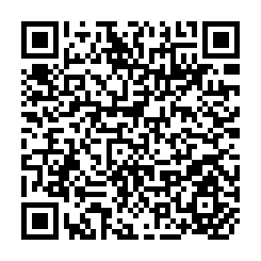 QR Code for Handbook 1979