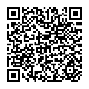 QR Code for Income Distribution, Poverty and Employment