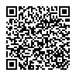 QR Code for Using Sorting Strips to process and Analyze Data