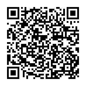 QR Code for Why are We Reluctant to set Numerical Equity Targets? (Comments on the 1978-1982 Five-Year Development Plan)