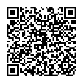 QR Code for Why are We Reluctant to set Numerical Equity Targets? (Comments on the 1978-1982 Five-Year Development Plan)