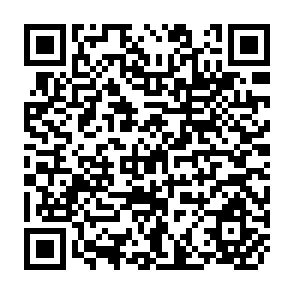 QR Code for Food Balance Sheet of the Philippines, CY 1973 (Summary of Final Estimates)