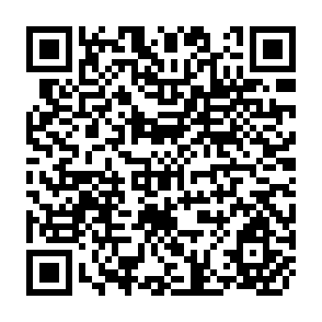 QR Code for Small Farmers Development Mannual - Volume I - Field Actions for Small Farmers, Small Fisherman and Peasants